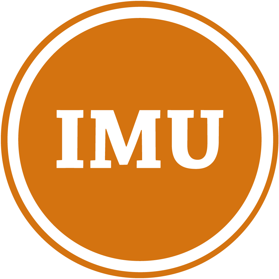 IMU